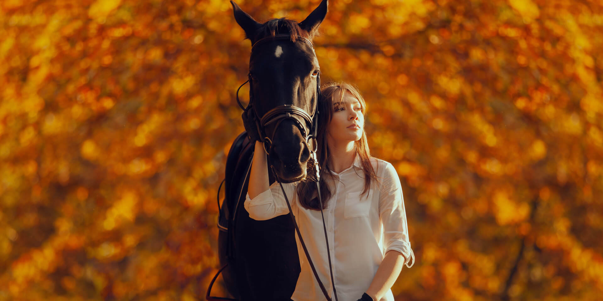 A lovaglás egészségügyi és lelki előnyei