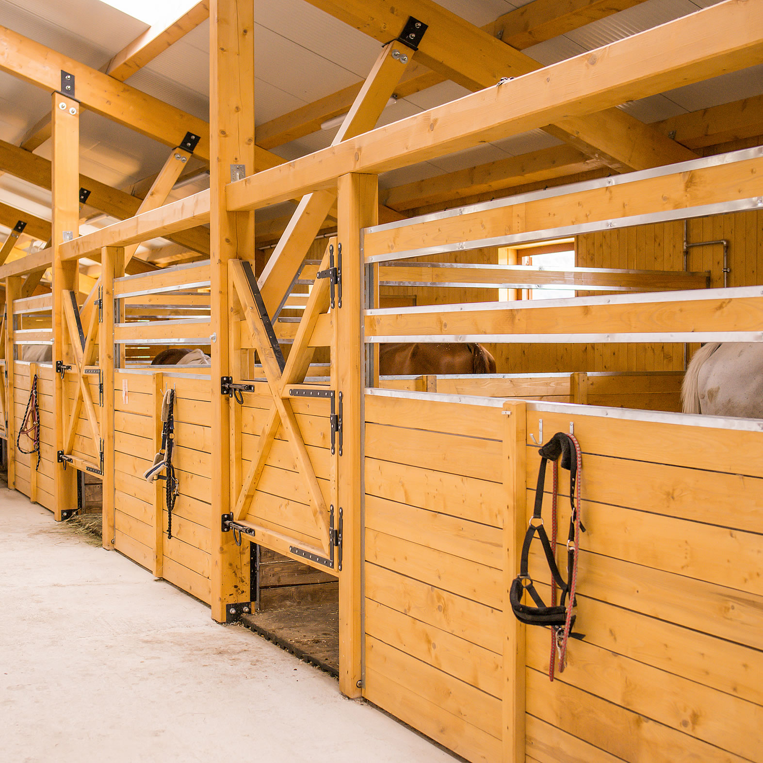 img-homepage-top-big-2